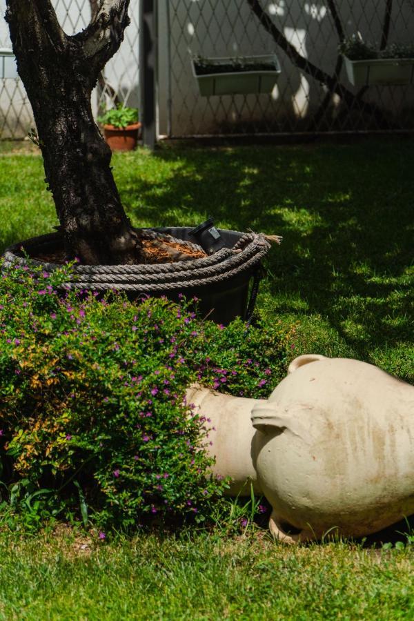 Guest House Buskovic ブドヴァ エクステリア 写真